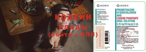 индика Нефтегорск