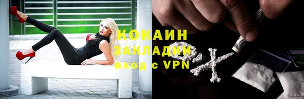 индика Нефтегорск