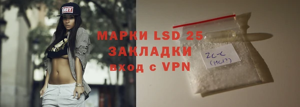 индика Нефтегорск