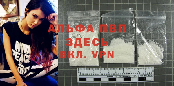 индика Нефтегорск